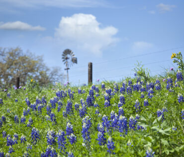 What Nearly 20 Years of Building Taught Me About Choosing the Right Lot in the Hill Country